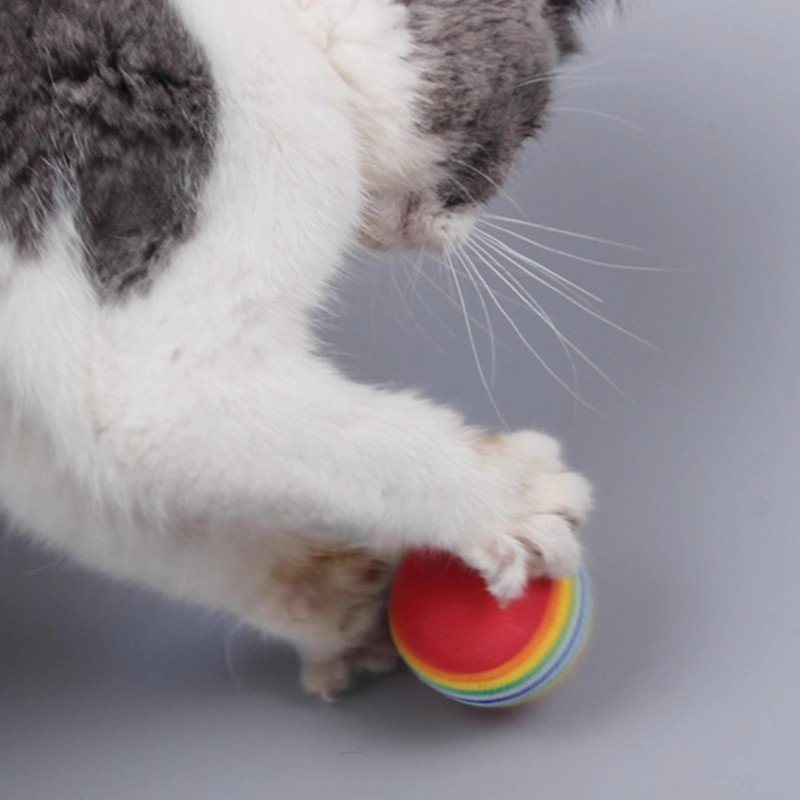 猫力幼猫咪玩具球逗猫球宠物彩虹球EVA小球耐咬微弹力大号静音球,淘宝优惠券,粉丝福利购,淘宝优惠卷