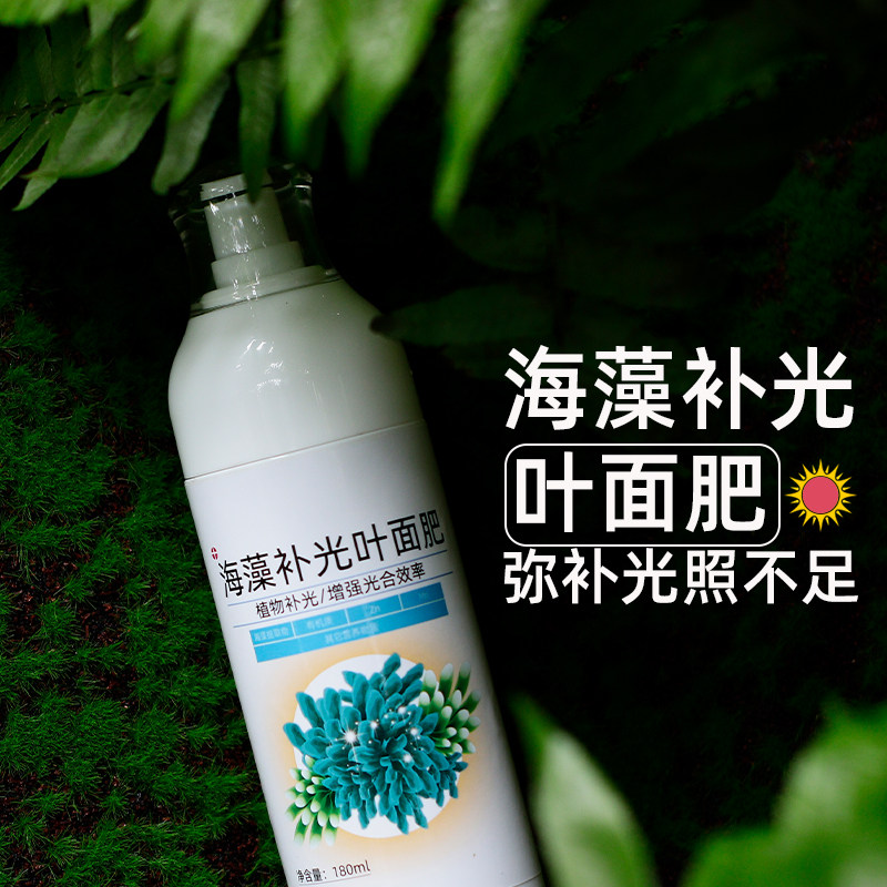 海藻补光叶面肥苔藓蕨类室内喜阴微景观多肉植物补光灯专用花肥,淘宝优惠券,粉丝福利购,淘宝优惠卷