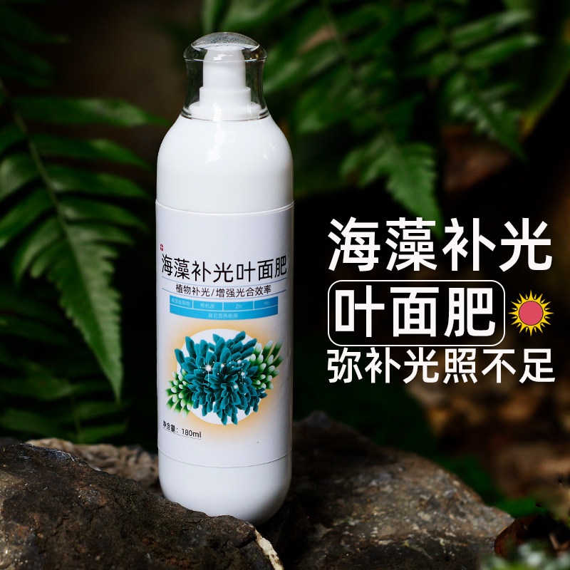 海藻补光叶面肥苔藓蕨类室内喜阴微景观多肉植物补光灯专用花肥,淘宝优惠券,粉丝福利购,淘宝优惠卷