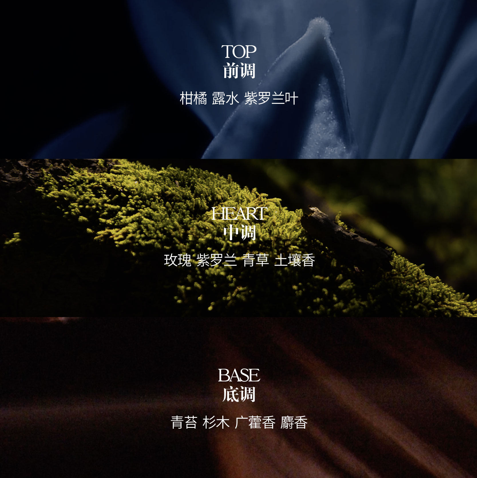 savhe萨和暗夜生长女士持久香水 SAVHE萨和香水