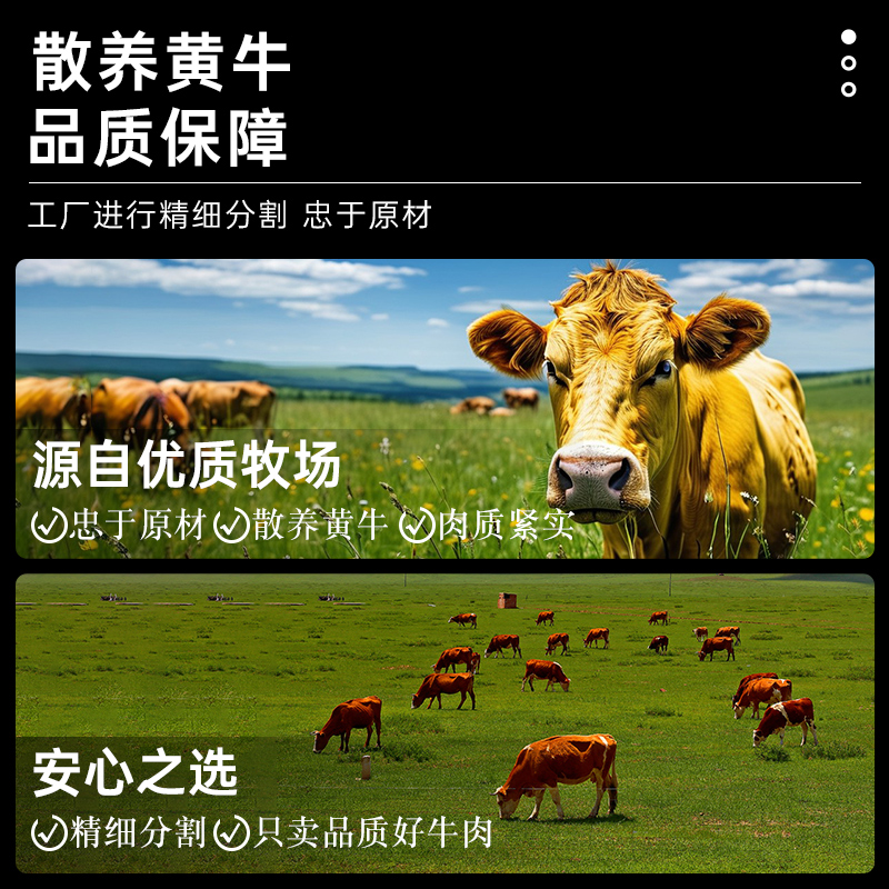 牛腩新鲜牛肉4斤国产黄牛肉雪花牛腩鲜切牛腩块家用生鲜牛肉