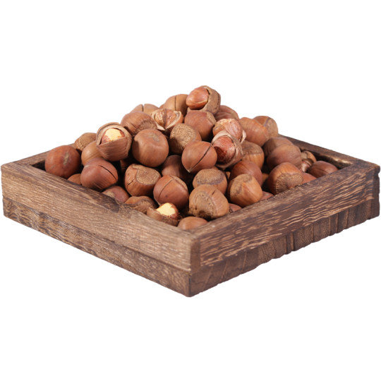 Northeastern specialty Tieling wild open hand-shot large hazelnuts