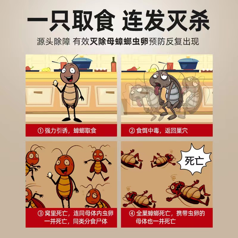 【一粒灭一窝】厚生蟑螂药灭杀蟑螂神器家用无毒便携灭蟑卧室驱虫