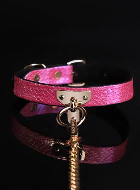 MIDNIGHT DIARY皮质项圈T字颈环choker项链k9牵引绳「项圈合集」
