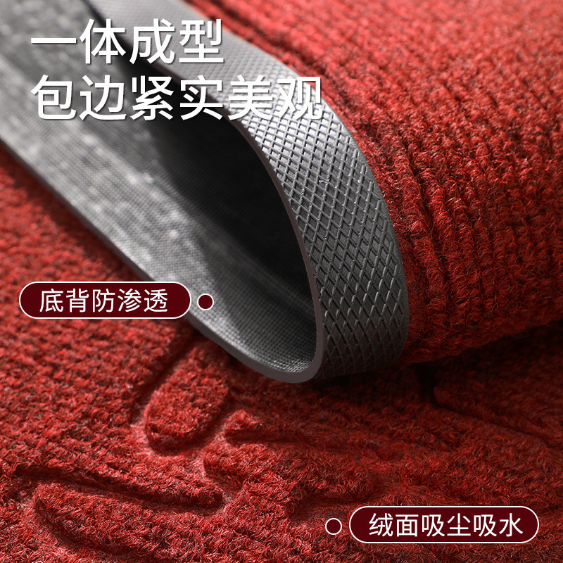 入户门地垫2025新款大门口高端地毯玄关免洗脚垫室内进门蹭土门垫,淘宝优惠券,粉丝福利购,淘宝优惠卷