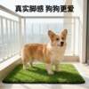 Dog lawn toilet simulation pee pad lure