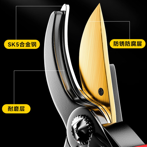 剪枝剪刀剪树枝专用剪子强力花艺果树修剪园林园艺粗枝剪修枝盆景 - 图1