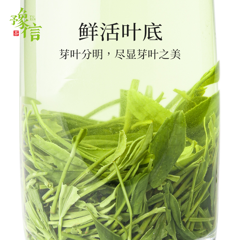 豫信信阳毛尖绿茶春尾口粮茶叶春茶浓香型100g明前嫩芽散装炒青