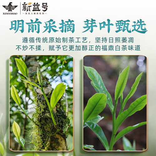 新益号福鼎白茶冷泡茶高山老白茶白牡丹贡眉散茶叶自己喝礼盒装 - 图2