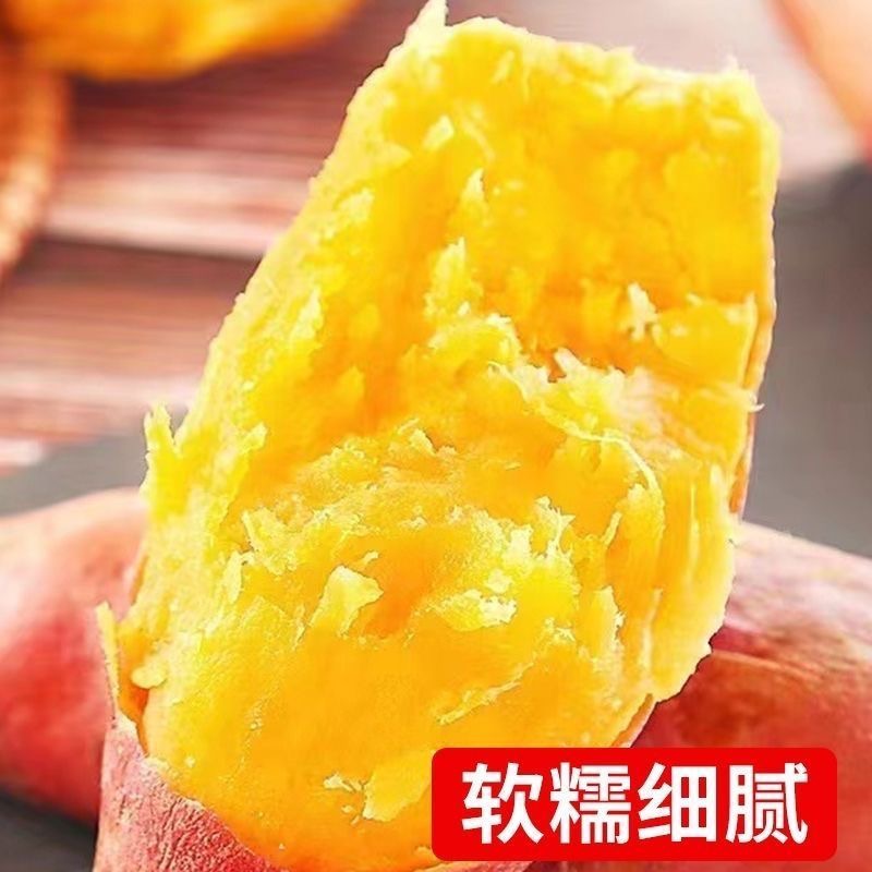沙地龙九蜜薯软糯红薯新鲜番薯农家烤地瓜山芋红署黄心食用入口 - 图0