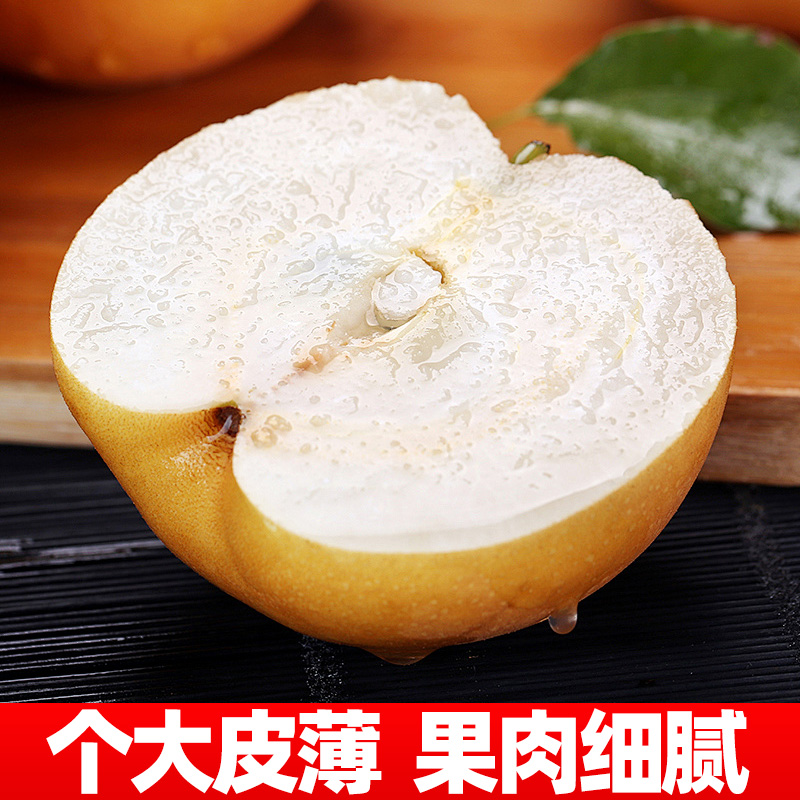 正宗山东青岛莱阳秋月梨新鲜水果当季冰糖雪梨子整箱10斤包邮脆甜 - 图1