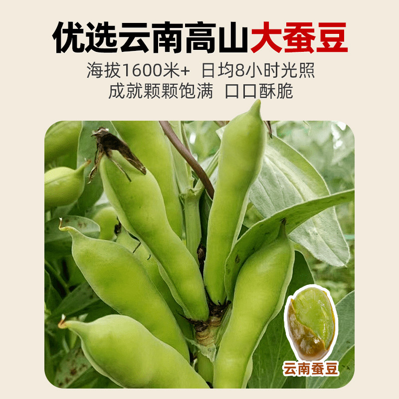 仓鼠行动云南保山香酥绿心蚕豆香辣兰花豆带壳原味炒货零食翡翠