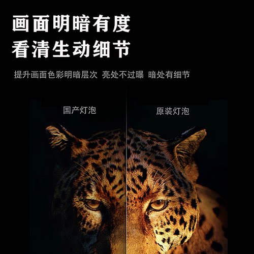 NEC投影机灯泡 NP13LP NP18LP NP35LP NP40LP NP28LP NP29LP NP19LP NP27LP 日电投影仪灯泡(羽毛球) - 图2