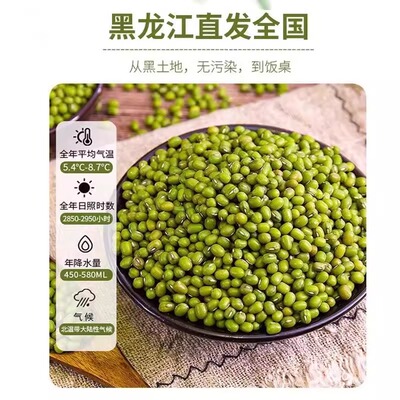 东北绿豆新鲜可发芽绿豆粥原料