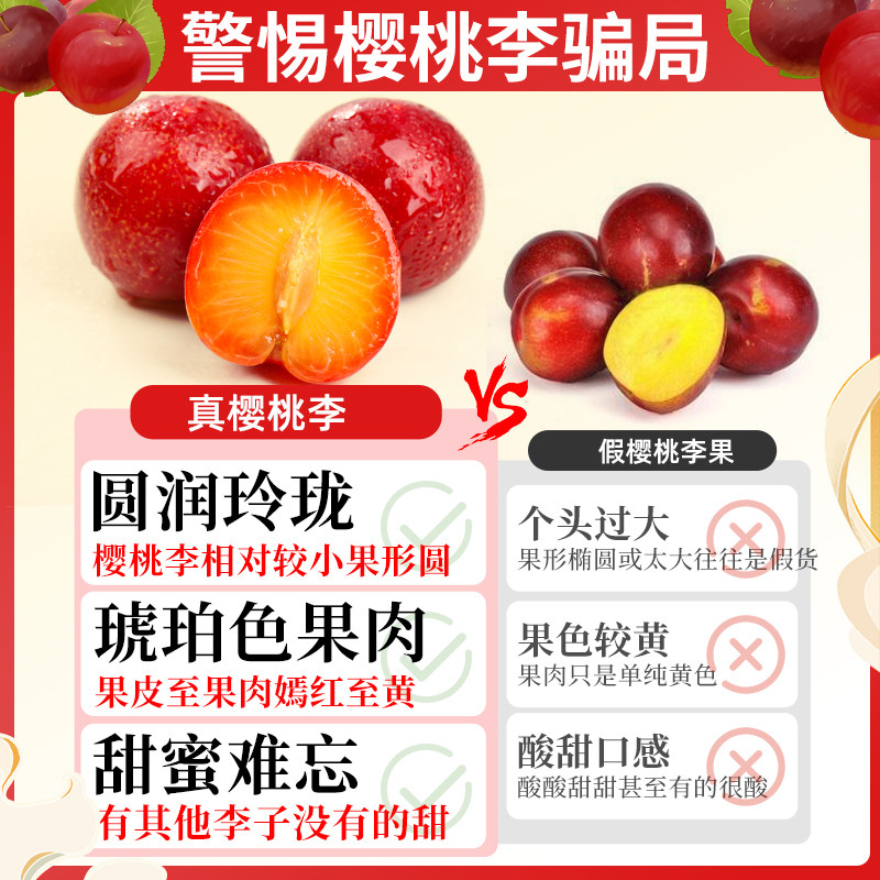 顺丰速达 智利进口樱桃李新鲜李子原箱5斤水果甜红当季精美礼盒装,淘宝优惠券,粉丝福利购,淘宝优惠卷