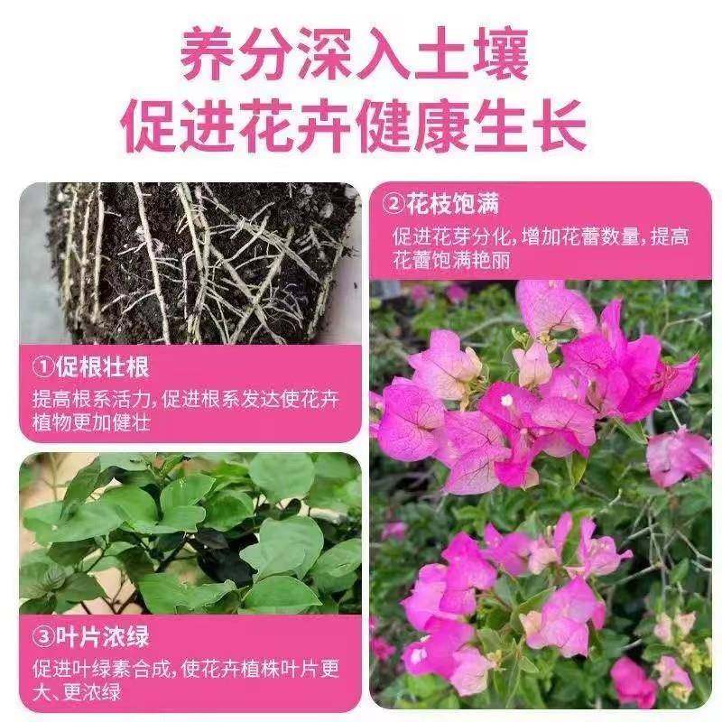 三角梅开花专用营养液肥促花爆花骨粉养花覆合肥料枝繁叶茂促开花,淘宝优惠券,粉丝福利购,淘宝优惠卷