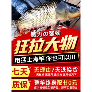 禧玛诺海竿套装组合用品鱼杆子远投抛竿甩竿海杆全套钓鱼竿渔具