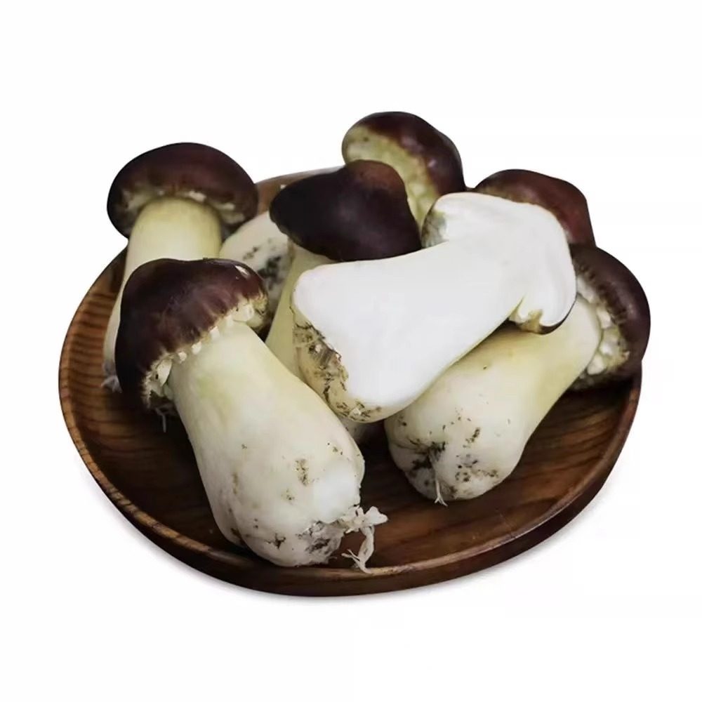 顺丰包邮 2025新鲜赤松茸食用菌菇2斤非野生姬松茸煲汤火锅炒菜鲜,淘宝优惠券,粉丝福利购,淘宝优惠卷