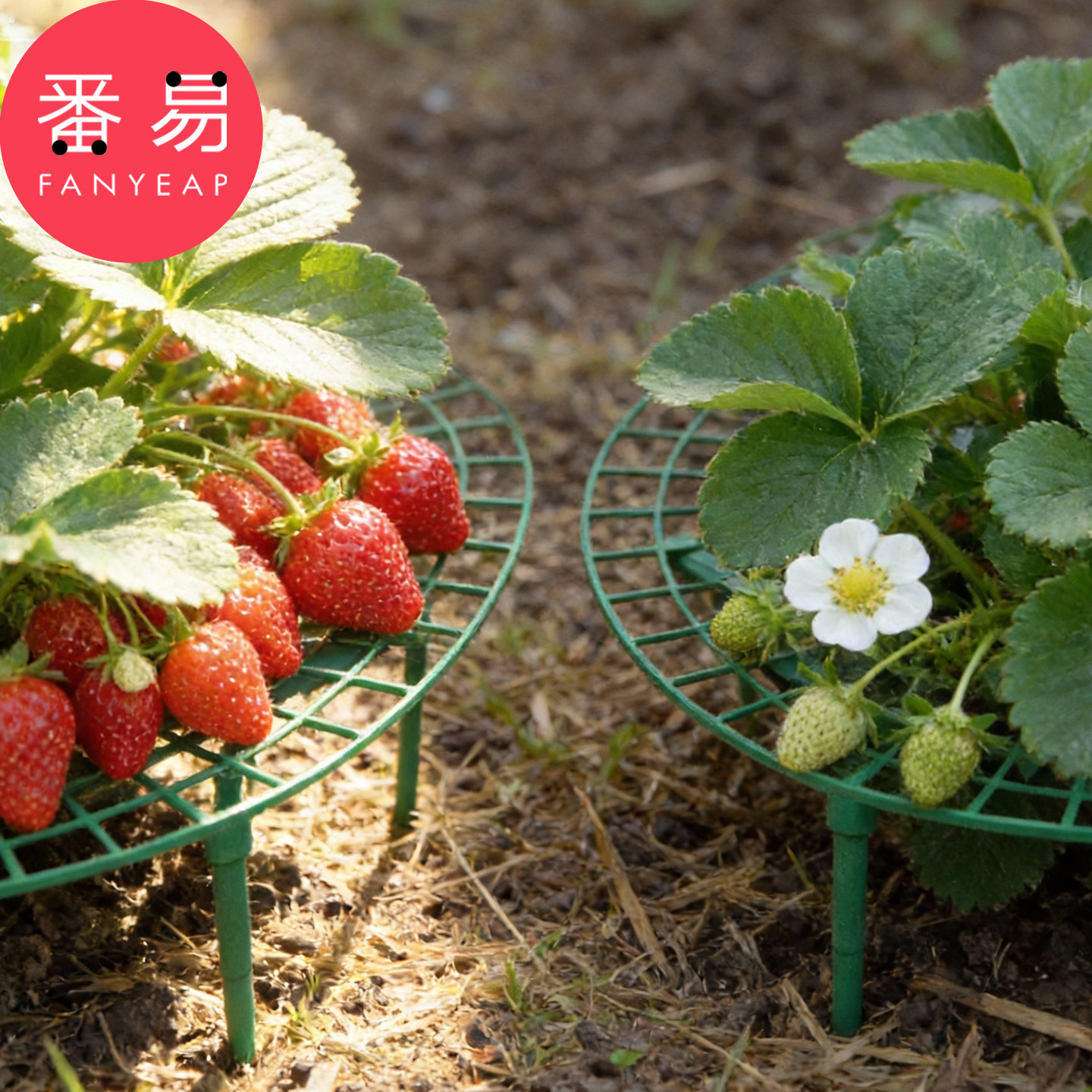 草莓架A1vo001-园艺盆栽水果家庭绿植支架拼接草莓种植架支撑架,淘宝优惠券,粉丝福利购,淘宝优惠卷