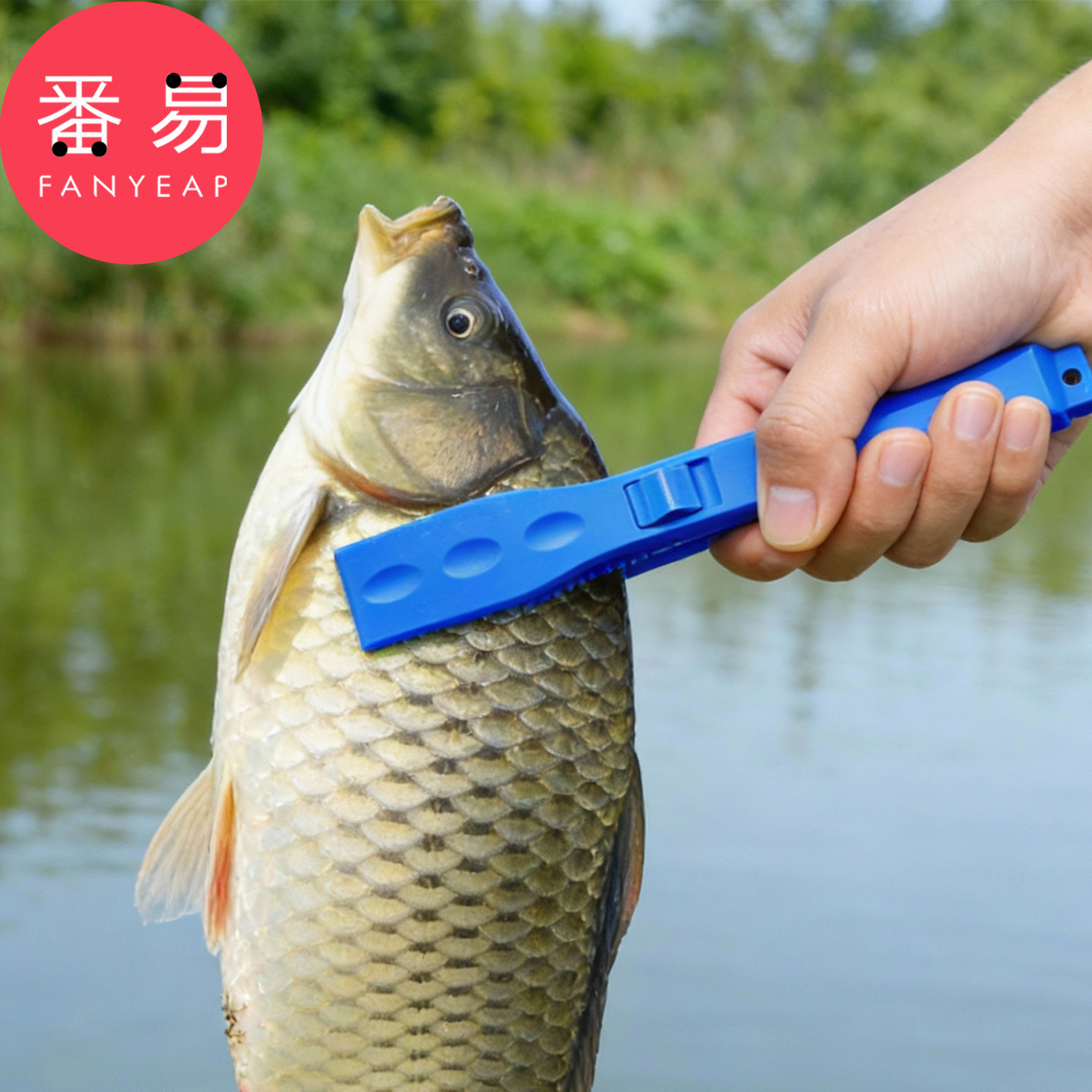 夹鱼器A1vo001-控鱼器钓鱼夹抓鱼钳取鱼器抓鱼夹子钓鱼装备,淘宝优惠券,粉丝福利购,淘宝优惠卷