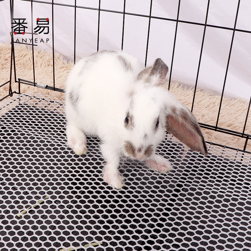 兔子脚垫A1vo001-宠物可裁剪垫脚板笼子踏板咬拼接可弯曲塑,淘宝优惠券,粉丝福利购,淘宝优惠卷