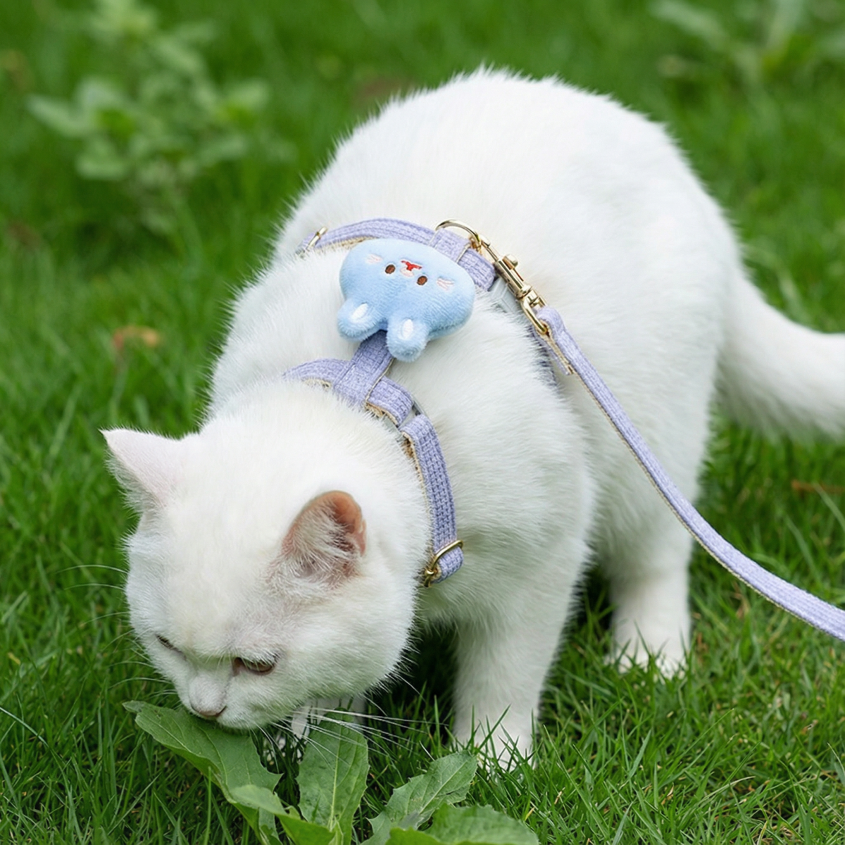 可爱卡通猫咪牵引绳胸背带银渐层猫用超萌外出遛猫绳小型犬狗绳子,淘宝优惠券,粉丝福利购,淘宝优惠卷