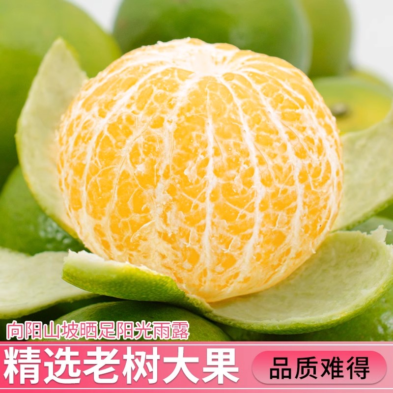 广西皇帝柑青皮蜜桔*3斤券后11.8元包邮