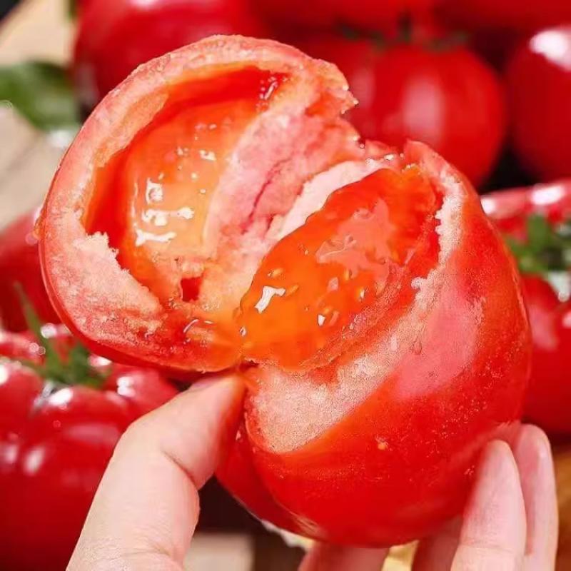 普罗旺斯粉番茄新鲜自然熟可生吃5斤装水果番茄柿子蔬菜酸甜包邮