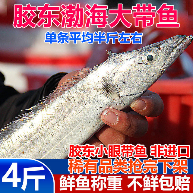 Fresh Bohai Hairtail 4Jin Jin is equal to 0.5kg | More than 6000 additional purchases