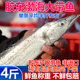 Fresh Bohai Hairtail 4Jin Jin is equal to 0.5kg | More than 6000 additional purchases