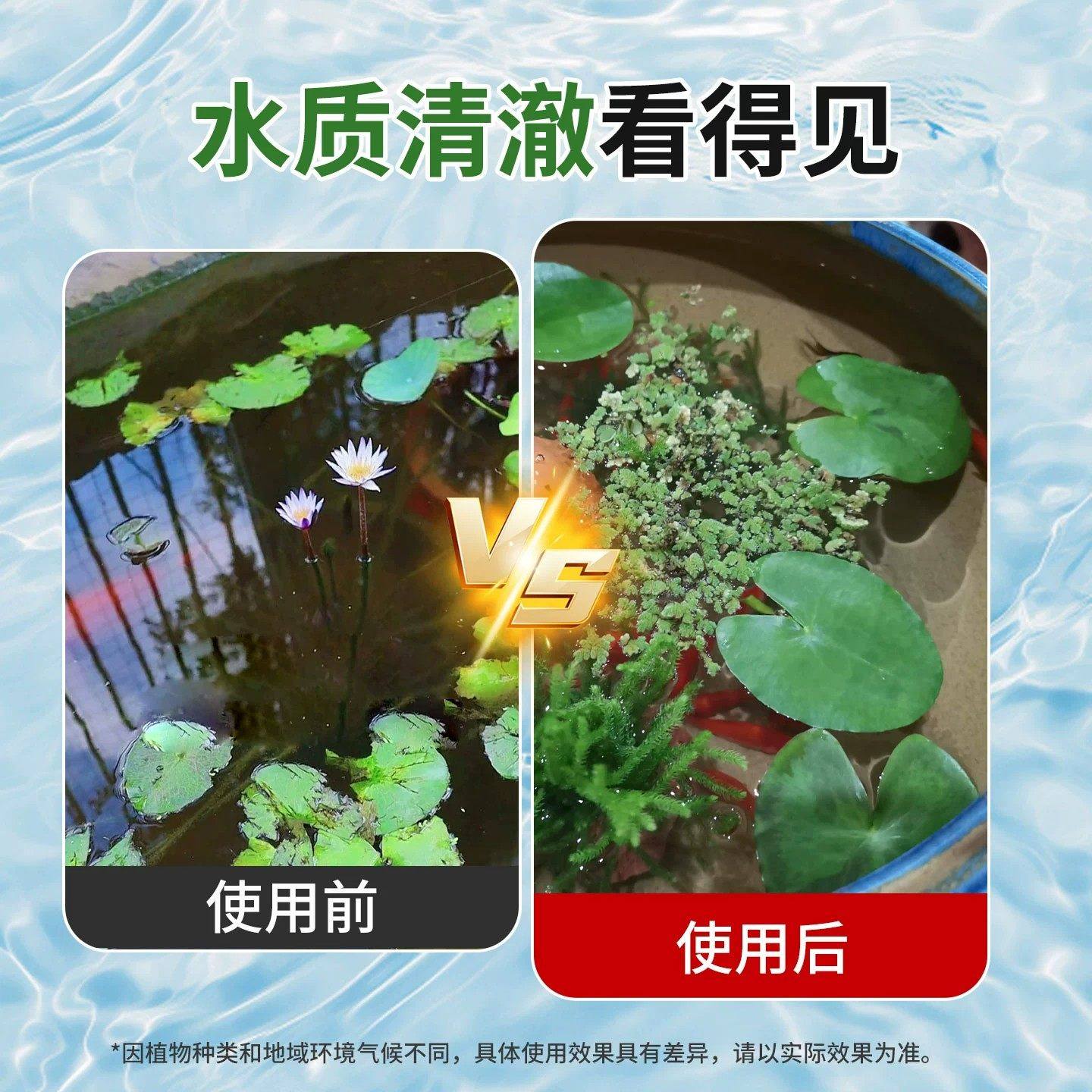 水培植物净水片鲜花花卉保鲜剂不臭水碗莲专用杀菌消毒片净化水质,淘宝优惠券,粉丝福利购,淘宝优惠卷