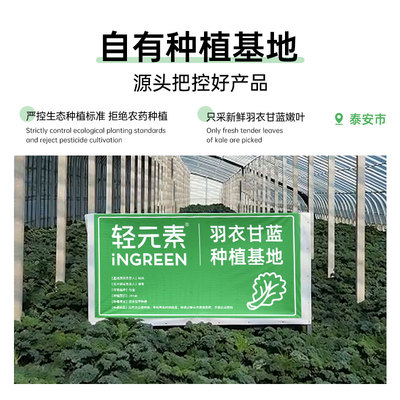 轻元素羽衣甘蓝粉膳食纤维粉代餐