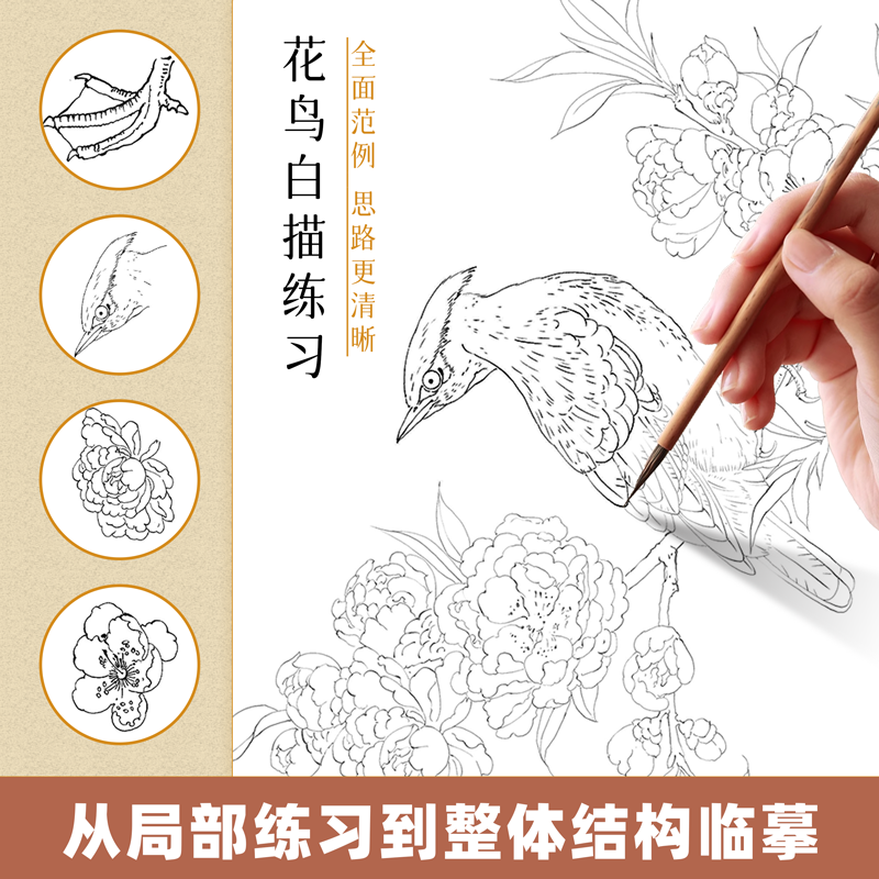 中国画白描入门描摹本全6册国画工笔国风古风花卉人物古诗梅兰花鸟套装底稿线稿描红基础书初学临摹水墨画册毛笔绘画练习教材程 - 图1