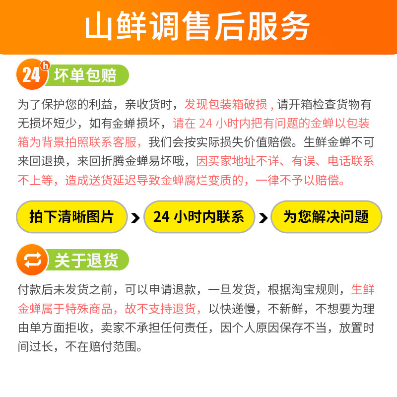 新鲜知了猴金蝉鲜活冷冻蝉蛹知了半成品爬叉猴商用批发食品食用 - 图2