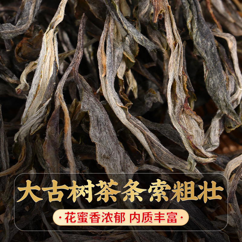 昔归普洱茶生茶新益号云南临沧古树散茶生普洱口粮茶叶自己喝-图2