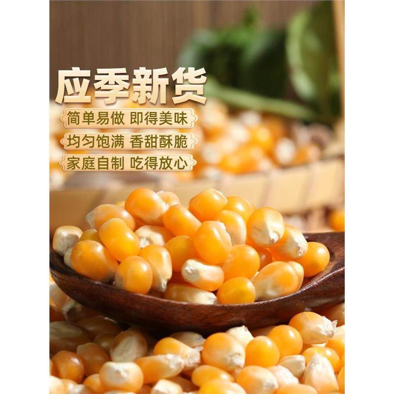 球形爆米花玉米粒100g5斤球型爆米花专用干苞米家庭微波炉自己爆,淘宝优惠券,粉丝福利购,淘宝优惠卷