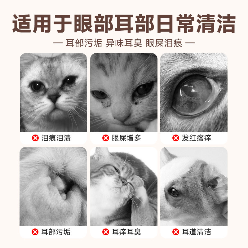 拜达尔宠物湿巾眼部泪痕猫咪狗狗清洁湿纸巾猫狗耳部专用湿纸巾,淘宝优惠券,粉丝福利购,淘宝优惠卷