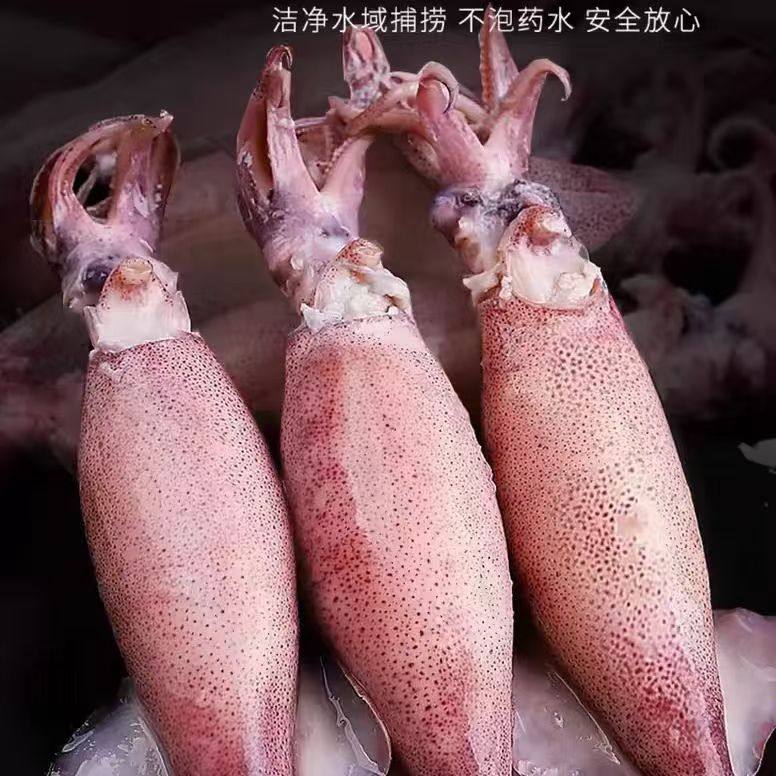 新鲜满籽海兔冷冻籽乌新鲜墨鱼仔带籽小鱿鱼乌贼带籽笔管鱼纯籽,淘宝优惠券,粉丝福利购,淘宝优惠卷