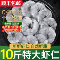 Special class Fresh Big Shrimp Meat No Chilled Frozen Green Shrimp Kernel Ready-to-eat Low-fat To Shrimp Line Frozen Shrimp Meat Commercial Wholesale