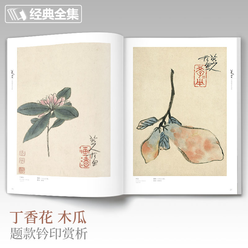 经典全集 八大山人画集 8开中国画临摹画册书籍写意水墨国画山水花鸟鱼虫技法教材高清册页 朱耷花卉禽鸟名作赏析鉴赏 杨建飞主编