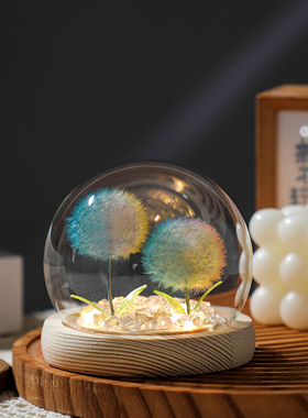 永生花蒲公英可发光摆件装饰