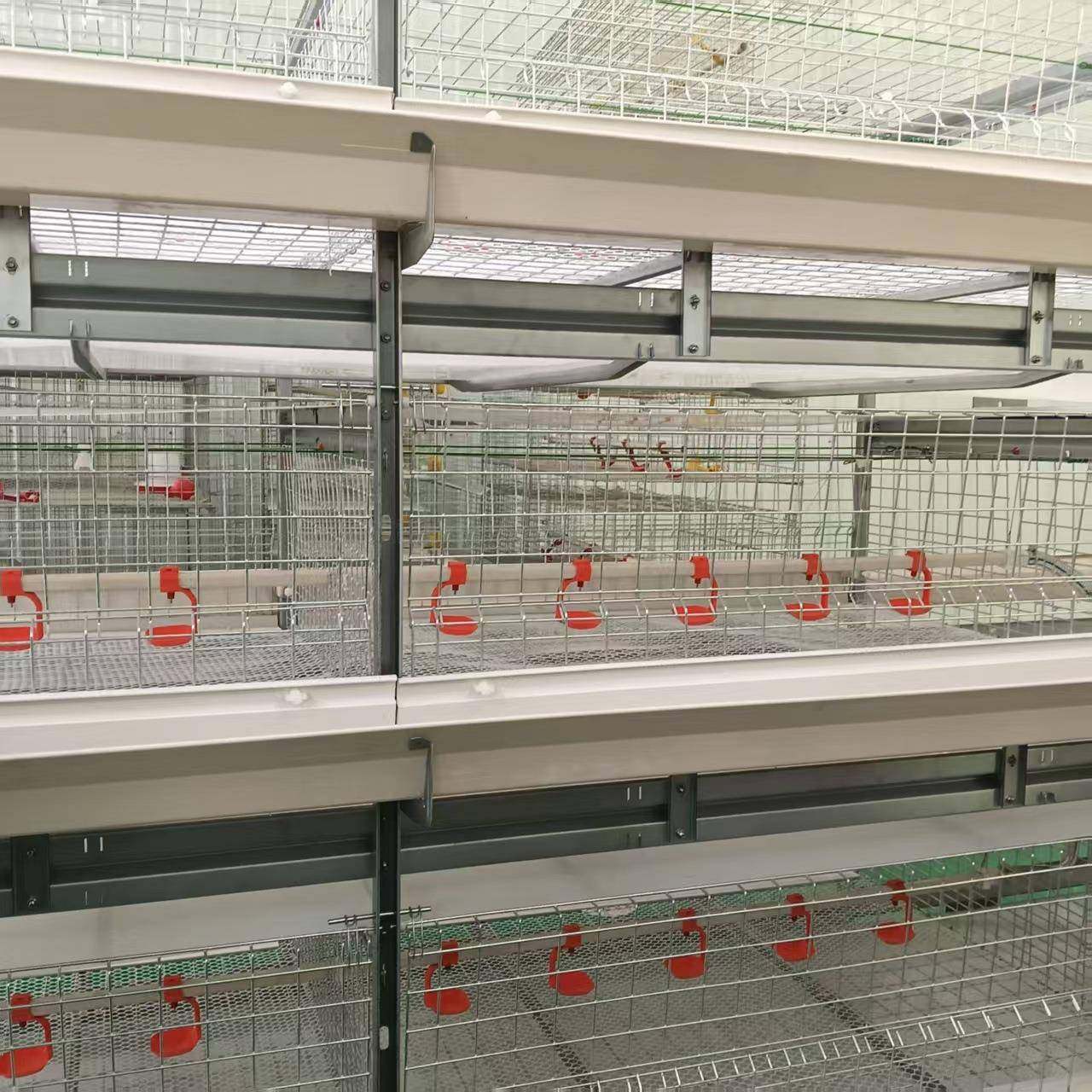 框架肉鸡笼框架式养鸡设备肉鸡笼养殖场鸡舍养鸡笼热镀锌立式,淘宝优惠券,粉丝福利购,淘宝优惠卷