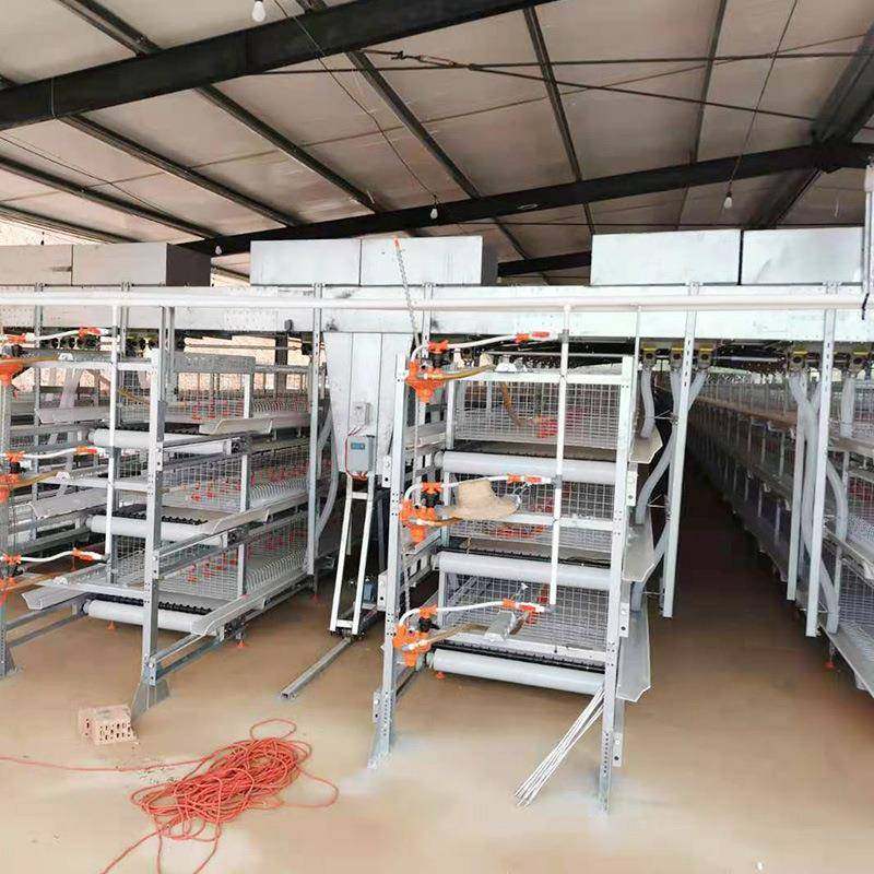 框架肉鸡笼框架式养鸡设备肉鸡笼养殖场鸡舍养鸡笼热镀锌立式,淘宝优惠券,粉丝福利购,淘宝优惠卷