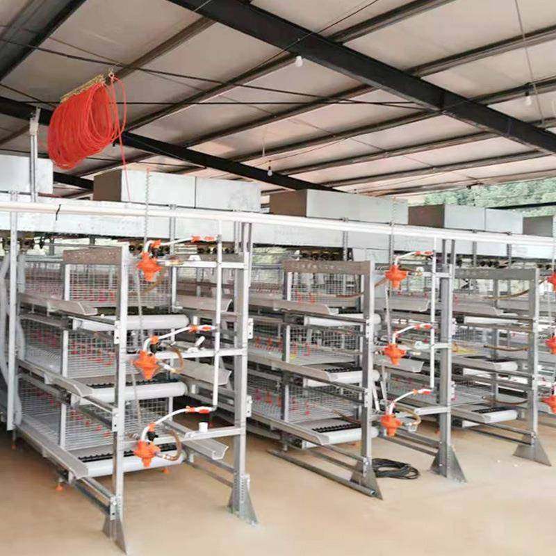 框架肉鸡笼框架式养鸡设备肉鸡笼养殖场鸡舍养鸡笼热镀锌立式,淘宝优惠券,粉丝福利购,淘宝优惠卷