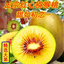 Sichuan Pujiang Red Heart Chic Exotic Fruits Fresh Pregnant Women Fruits Big Fruits When Season Chic Exotic Fruit Whole Boxes Chic Fruits Red Heart