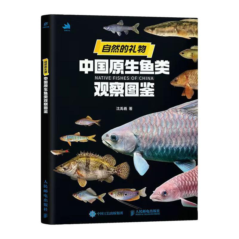 图5
