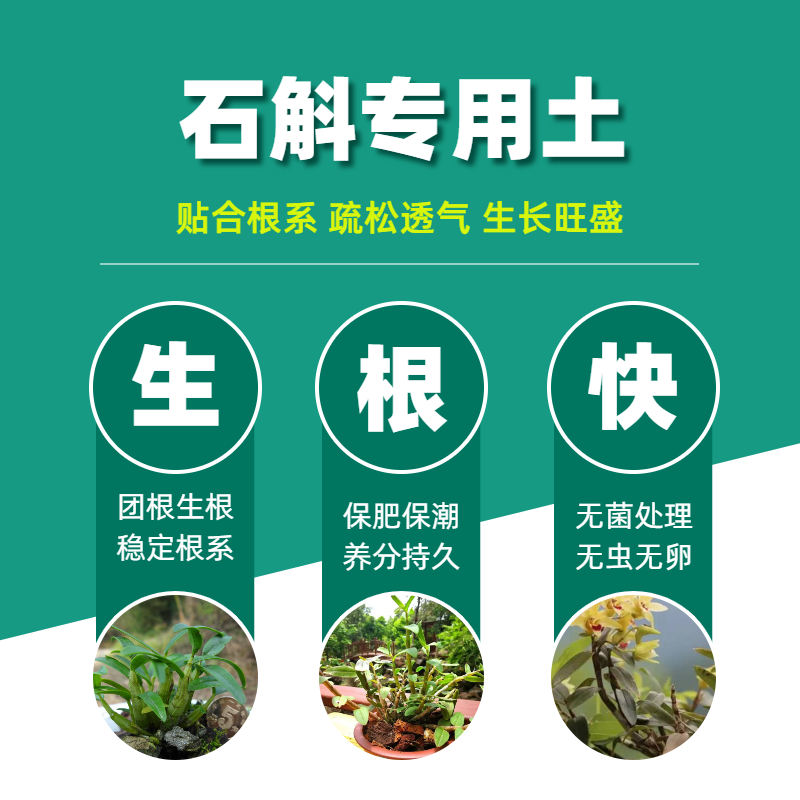 石斛专用土铁皮石斛兰花专用土营养土颗粒盆栽种植土壤大树皮肥料-图1