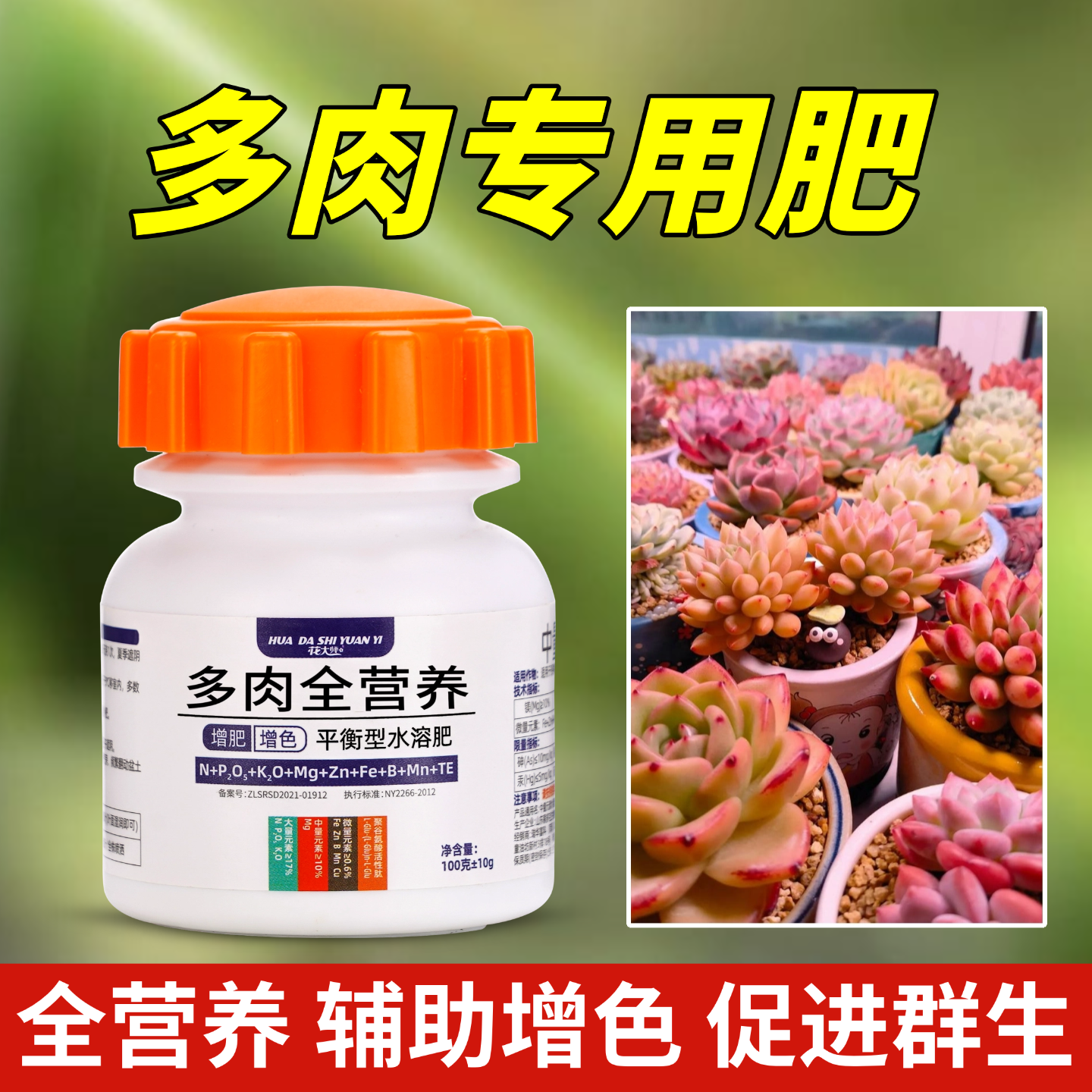 多肉肥料专用肥营养液颗粒肥控释缓释肥水溶肥浇水全周期13种营养,淘宝优惠券,粉丝福利购,淘宝优惠卷