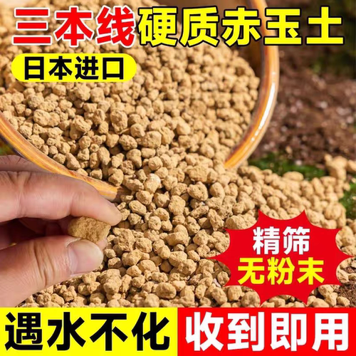 【真空分装】赤玉土三本线日本原装进口营养土专用铺面多肉盆景土 - 图1