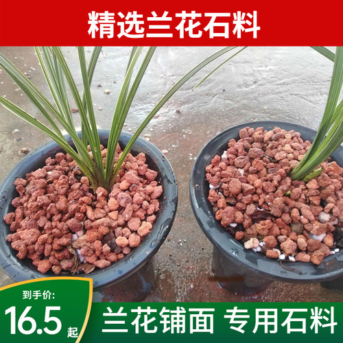 兰花专用铺面石料花盆养花的小石头白红火烧土颗粒火山石子金植料 - 图3